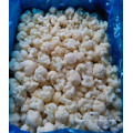 Frozen / IQF coliflor verduras comida